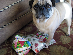 norman opening a present