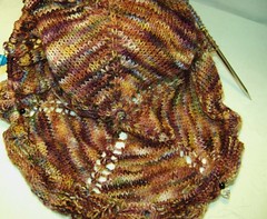 spider shawl