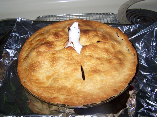 Betty Crocker Blueberry Pie