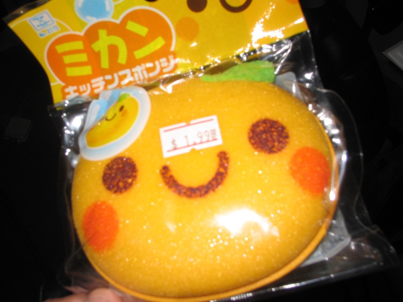 Cute Orange Sponge