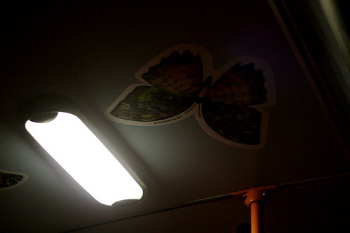 Tuesday: creepy butterflies on the bus