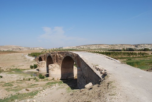 Roman bridge near Cyrrhus