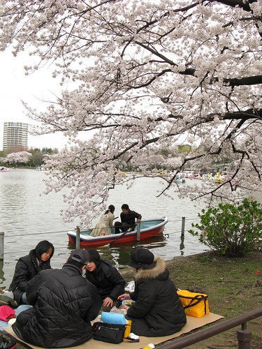 大家都好悠閒的坐在櫻花樹下呢～