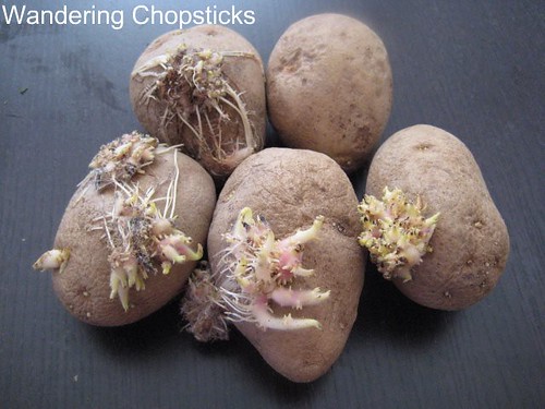 Homegrown Fingerling Potatoes 2
