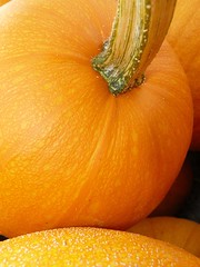 the great pumpkin (by ksuwildkat)