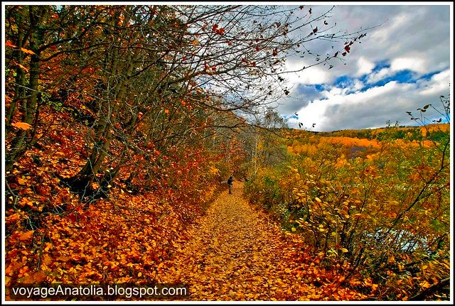 An Autumn Walk Near Lake Karagöl