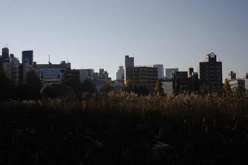 上野・水辺の風景