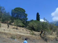 Part of Ancient Delphi