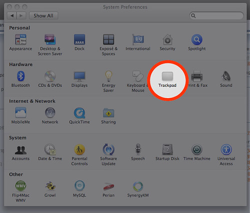 System Preferences in New Mac OS X 10.5.6