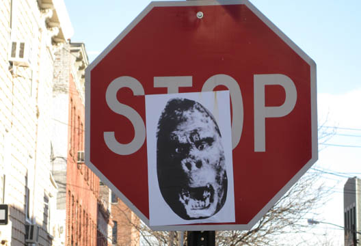 Stop Sign Gorilla