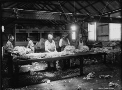Wool-Sorting Room, Clifton Station