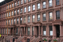 Harlem Apartments