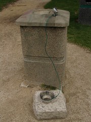 Doggie water fountain