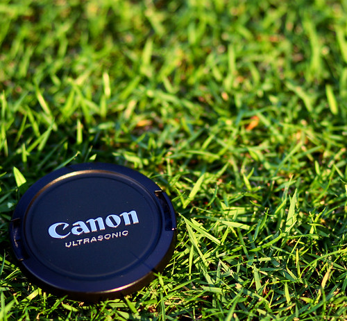 Canon on Green