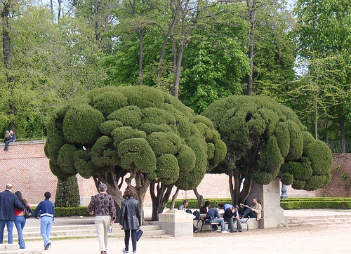 Trees & People in Retiro Park Madrid