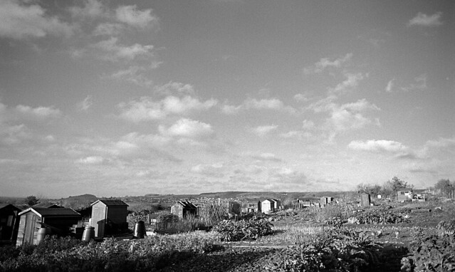 Illford Pan F+ 50 35mm in Rodinal 1+50 - 11 minutes