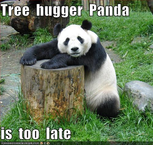 tree hugger panda