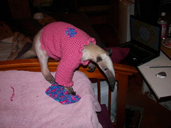 Pua in her new sweater