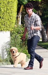 Nick Jonas Walking His New Puppy - 9/16/08 by eada18