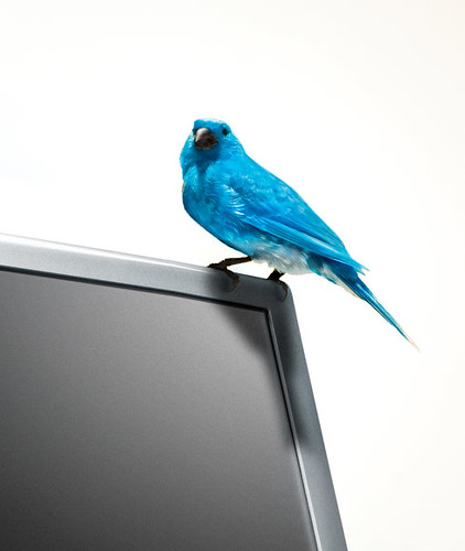 Tweet - The Twitter bird has escaped ... by netzkobold, on Flickr