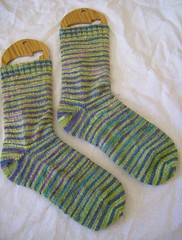 Dragonfly Socks