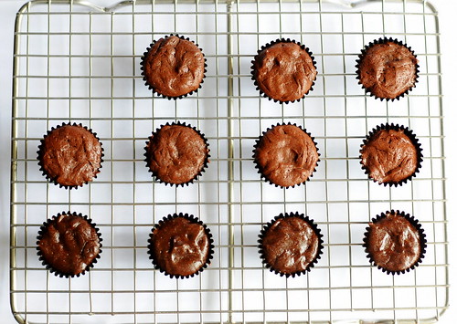 Mini chocolate cakes just hangin' around n' chillin'