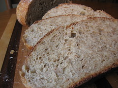 Almost No-Knead Whole-Wheat Bread
