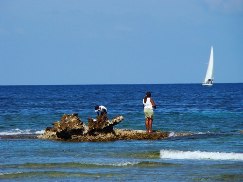 Tours of the coastal areas of Puerto Rico