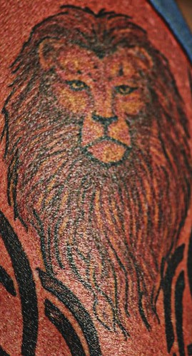 tatoo of lion Tattoos Gallery