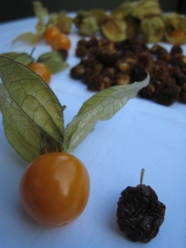 Fresh and Dried Physalis