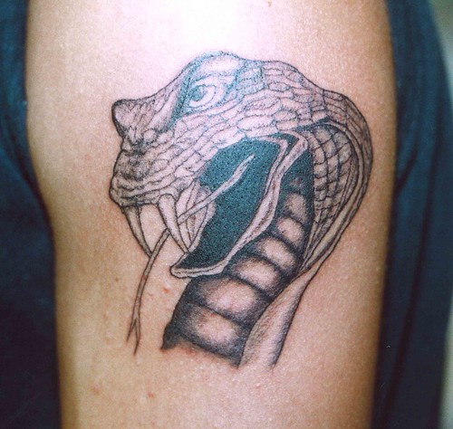 cobra snake tattoo. Serpente Cobra - Americo