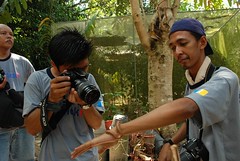 Sir Mart Outdoorgraphy™ @ Butterfly Farm #9