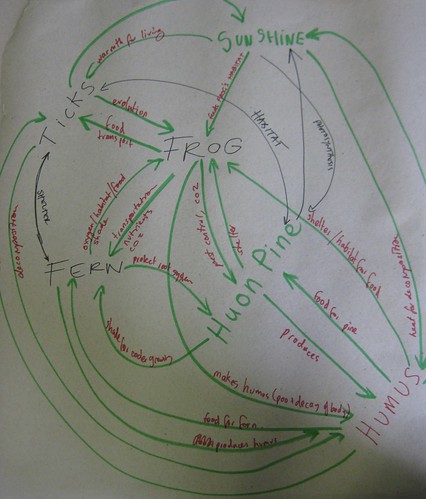 permaculture flow chart