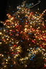 MIKIMOTOのクリスマスツリー