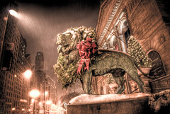 Chicago Art Institute Lions with Christmas Wreath: 5