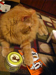Jasper claims the orange Temptations and the catnip