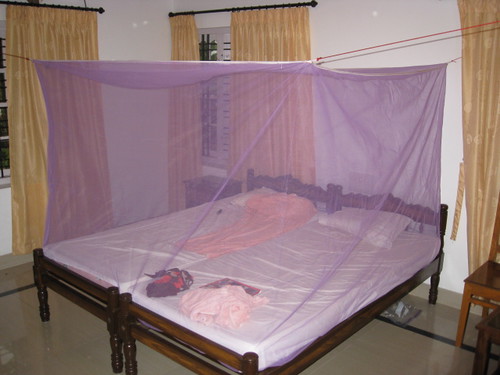 our room, our mosquito net