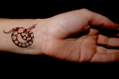 Snake tattoos in hands permanent 