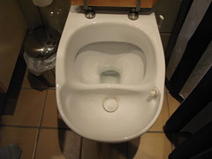 Urine diverting flush toilet in Stockholm