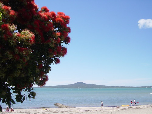 Christmas on the beach - Celebrating Christmas in New Zealand