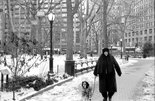 Madison Square Park‧Like owner, like dog....