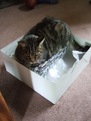 Butters on Box within Box