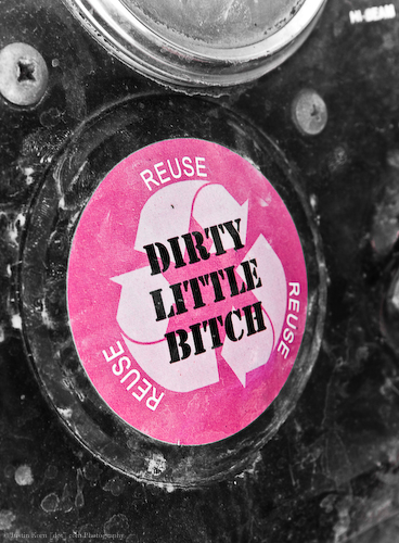 Dirty Little Bitch by Justin Korn