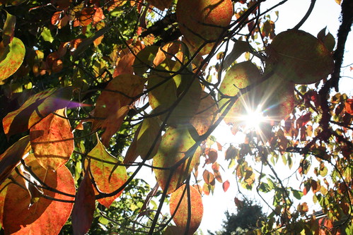 a bright sunny day in early autumn