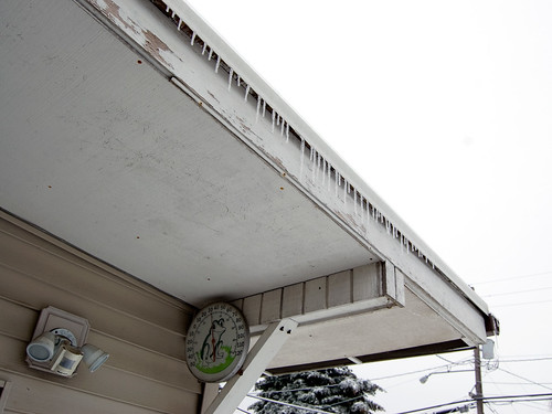 Frog Thermometer and Icicles