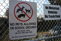 no dogs, cats or pot bellied pigs
