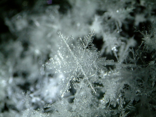 Snowflake-030