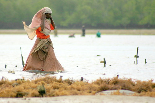 Mjini Kiuyu woman floating on water