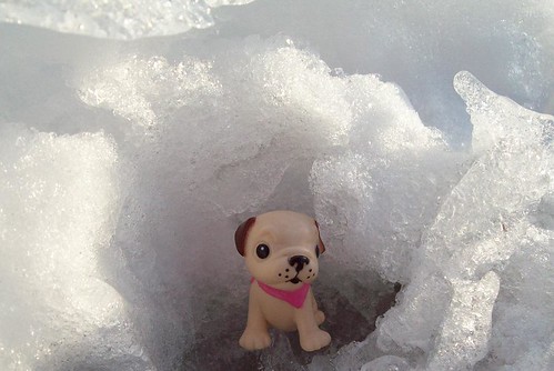 Scamp is vacationing in Alaska... 6/100 by partymonstrrrr.