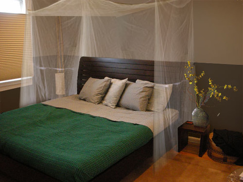 But why stop there?  Take it step further with a mosquito net and dramatic vase.  We’re pretty certain that any bedroom can benefit from a mosquito net.